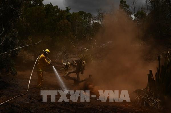 Thảm họa cháy rừng ở Hawaii (Mỹ): Xác nhận hơn 100 người thiệt mạng