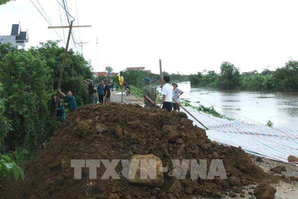 Lại xảy ra sự cố nứt, sạt trượt mặt và thân đê tả sông Càn (Thanh Hóa)