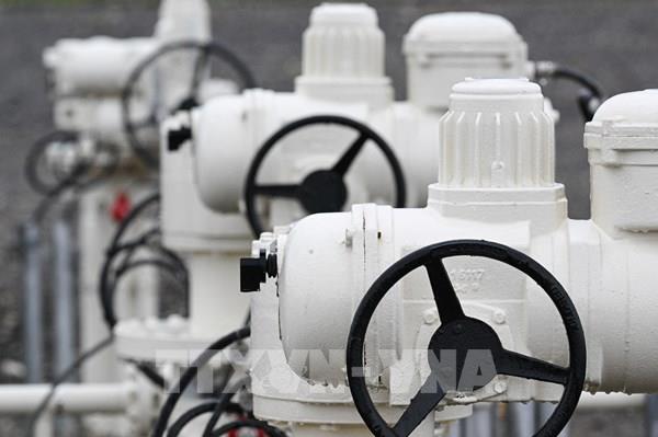 EC đề xuất mua chung khí đốt để ngăn ngừa khủng hoảng năng lượng