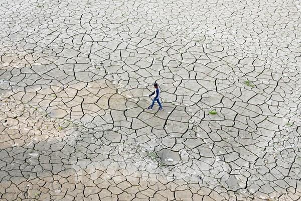 Thị trường ngũ cốc châu Á sẽ "nóng" cùng El Nino