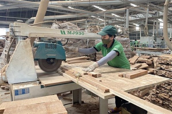 Nghệ An đặt mục tiêu xuất khẩu gỗ, lâm sản đạt trên 1 tỷ USD