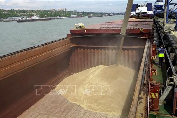 Thị trường ngũ cốc hiện như một "thùng thuốc nổ"