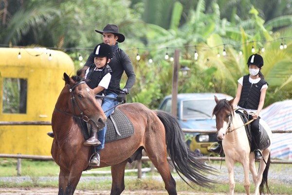 Từ năm 2025, Paris cấm dịch vụ cưỡi ngựa con