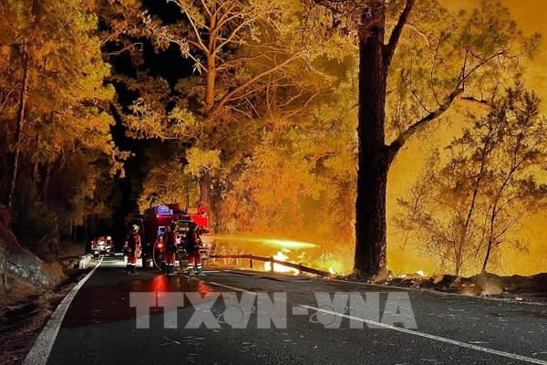 Hy Lạp sơ tán người dân ở ngoại ô thủ đô Athens do cháy rừng