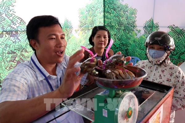 Xây dựng thương hiệu cua Cà Mau - Bài 2: Bài toán sử dụng thương hiệu