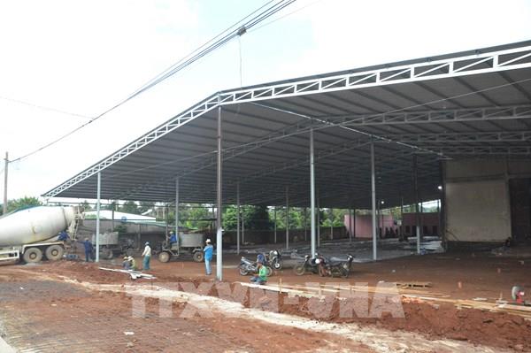 “Loạn” xây dựng kho, vựa thu mua sầu riêng tại Đắk Lắk