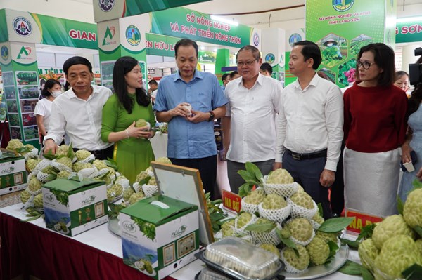 Quảng bá na Chi Lăng và sản phẩm OCOP tỉnh Lạng Sơn