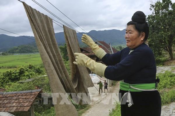 Nhuộm vải chàm - nét văn hóa truyền thống của đồng bào Thái ở Điện Biên
