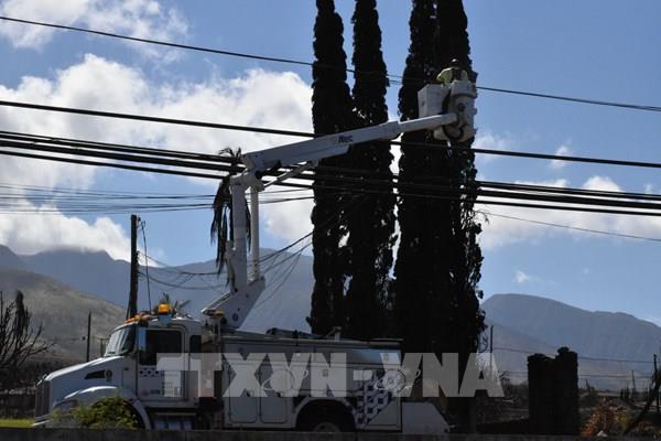 Công ty điện lực Hawaii phản đối đơn kiện gây ra vụ cháy rừng