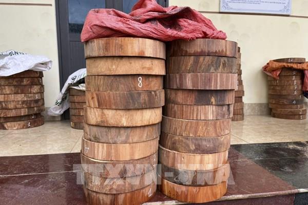 Bắt nhóm đối tượng vận chuyển trái phép hơn 100 lóng gỗ nghiến