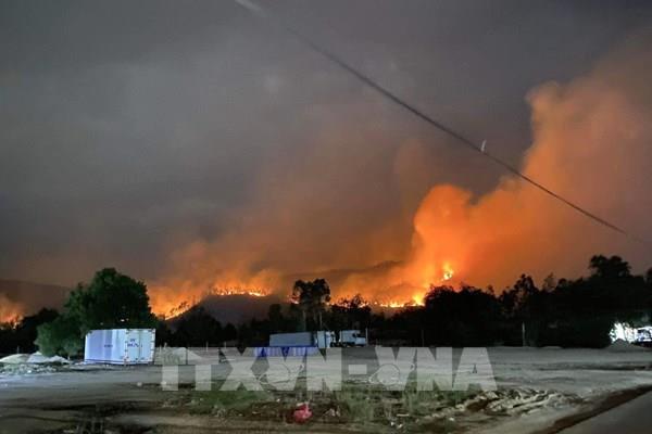 Liên tiếp xảy ra cháy rừng tại thị xã Sông Cầu, Phú Yên