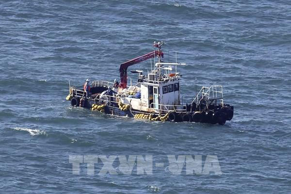 IAEA: Nước xả thải từ nhà máy Fukushima không độc hại đối với cư dân