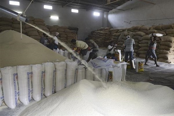 Giá gạo cao kỷ lục, Ấn Độ tăng diện tích trồng lúa