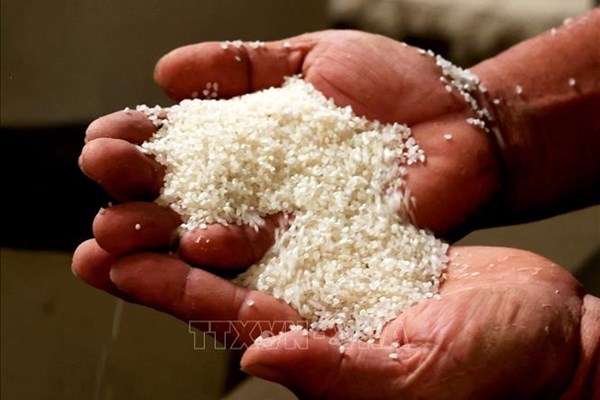 Giá gạo tăng mạnh: Nguyên nhân và khả năng thích ứng của thế giới