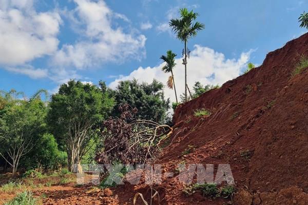 Cần kiên quyết xử lý việc san lấp mặt bằng trái phép dọc tuyến tránh Gia Nghĩa