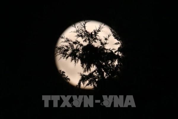 Thế giới chờ đón hiện tượng Siêu Trăng