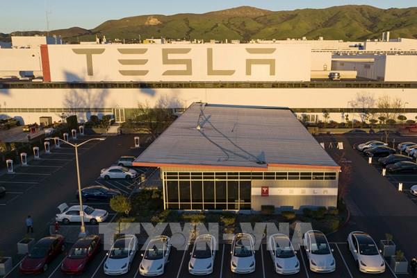 Apple và Tesla đối mặt với cạnh tranh khốc liệt tại thị trường Trung Quốc