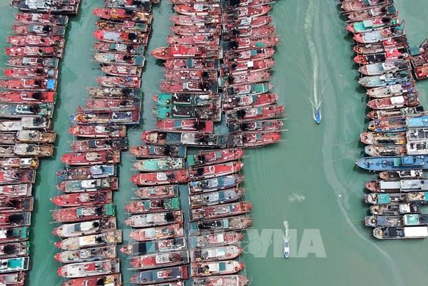 Trung Quốc: Hàng nghìn người sơ tán do bão Haikui tại Đài Loan