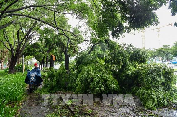 Trung Quốc duy trì ứng phó bão lũ khẩn cấp ở nhiều tỉnh miền Nam