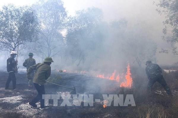 Cháy rừng phòng hộ tại Quảng Trị
