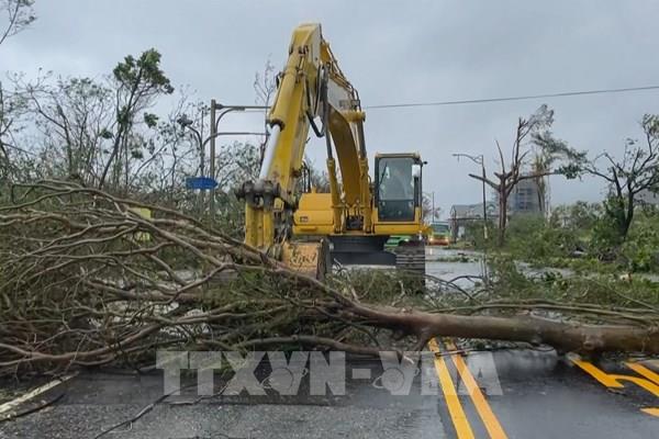 Trung Quốc ban bố cảnh báo vàng đối với bão Haikui