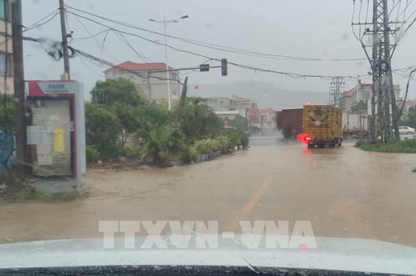 Bão Haikui gây thiệt hại ở Đông Nam Trung Quốc