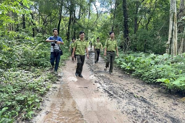 Bình Thuận thông tin về khai thác rừng làm hồ chứa nước Ka Pét