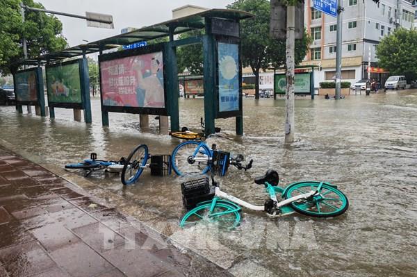 Trung Quốc cảnh báo bão Koinu có thể gây mưa lớn và gió mạnh