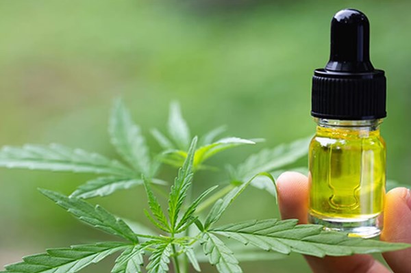 Các hãng hàng không thông tin ban đầu về tiếp viên nghi vấn buôn lậu tinh dầu cần sa