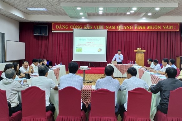 Tăng hiệu quả thông qua phát triển mã số vùng trồng cây ăn quả 