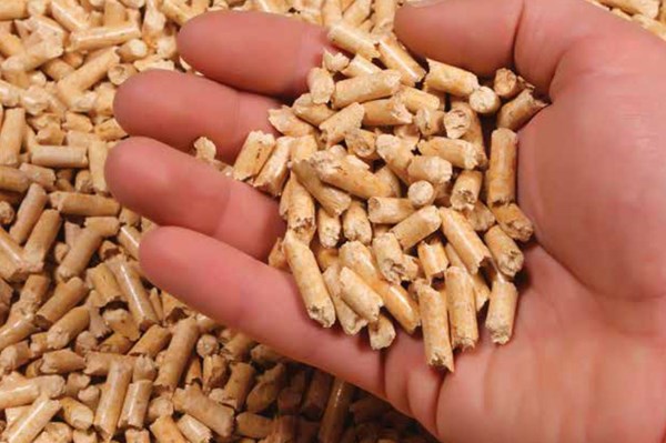 Tín hiệu lạc quan cho xuất khẩu viên nén gỗ