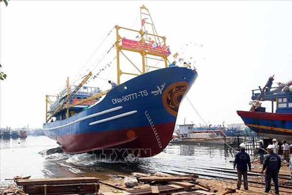 Đà Nẵng “mạnh tay” chống khai thác hải sản bất hợp pháp