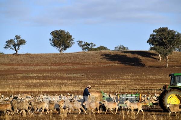 Cơ quan thời tiết Australia ghi nhận các chỉ số El Nino mạnh lên