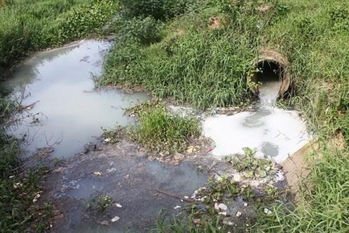 Xả thải gây ô nhiễm môi trường, hai cá nhân bị xử phạt gần 300 triệu đồng