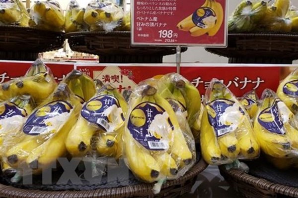 Nông sản Việt Nam tìm điểm chạm với thị trường Nhật Bản