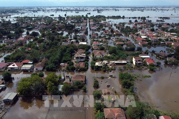 Hy Lạp mất 25% sản lượng nông nghiệp do lũ lụt