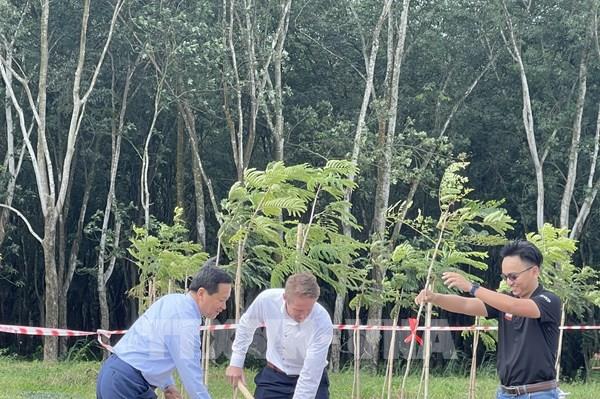 Phó Thủ tướng Lê Minh Khái tham gia trồng cây cùng tập đoàn LEGO tại Bình Dương