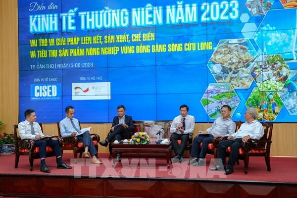 Xây dựng Trung tâm liên kết nông sản vùng để thúc đẩy tiêu thụ