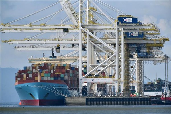 WTO: Tăng trưởng thương mại hàng hóa có thể bắt đầu phục hồi vào năm 2024