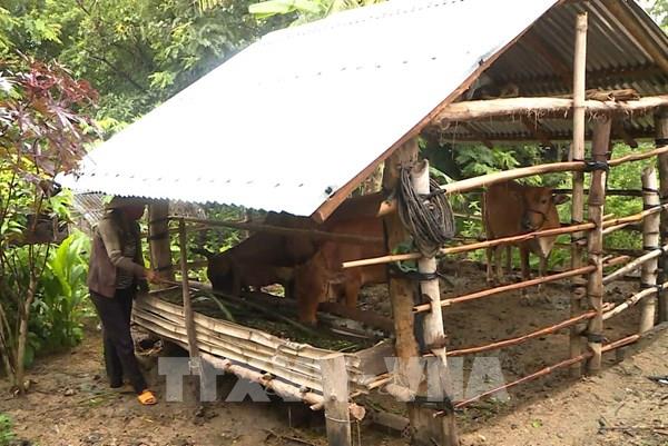 Vốn tín dụng chính sách hỗ trợ 6,3 triệu hộ gia đình vượt qua ngưỡng nghèo