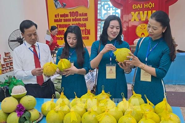 Quảng Bình kết nối tiêu thụ trên 300 sản phẩm nông sản