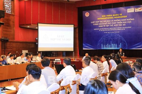 Chính sách nào hỗ trợ phát triển kinh tế tập thể?