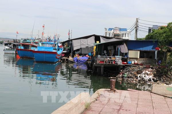 Cần xử lý dứt điểm tình trạng lấn chiếm mặt nước cảng Sa Kỳ, Quảng Ngãi