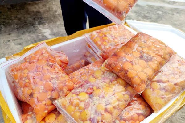 Ngăn chặn trên nửa tấn trứng non không rõ nguồn gốc xuất xứ