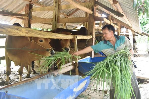 Nguồn vốn ủy thác sang Ngân hàng Chính sách Xã hội đã vượt kế hoạch cả năm