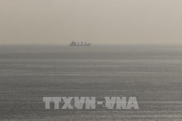 Nga đề xuất biện pháp giải quyết ngũ cốc thừa của Ukraine