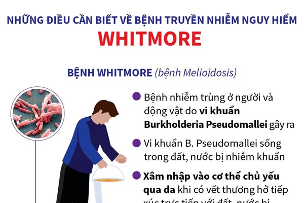 Bệnh Whitmore nguy hiểm như thế nào?
