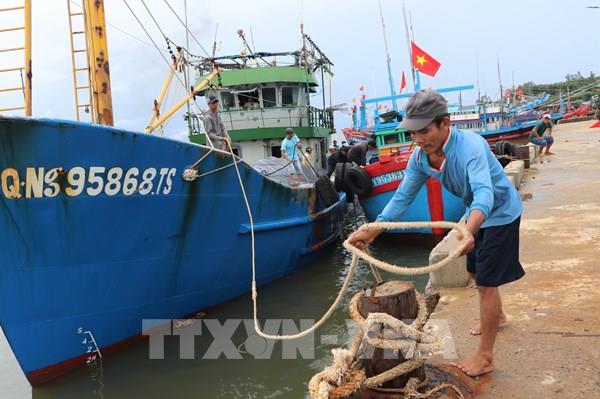 Hướng dẫn ngư dân neo đậu tàu thuyền tại các điểm an toàn
