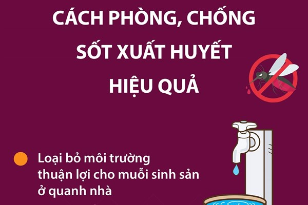 Cách phòng, chống sốt xuất huyết hiệu quả