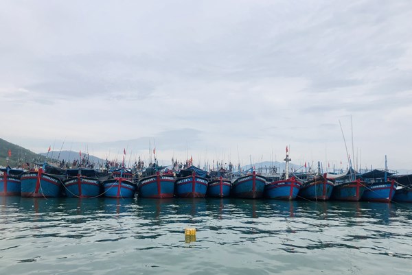 Đoàn thanh tra EC dự kiến sang làm việc về chống khai thác IUU từ ngày 10/10